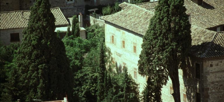 Día Mundial del Árbol: Los Cipreses del Convento de San José