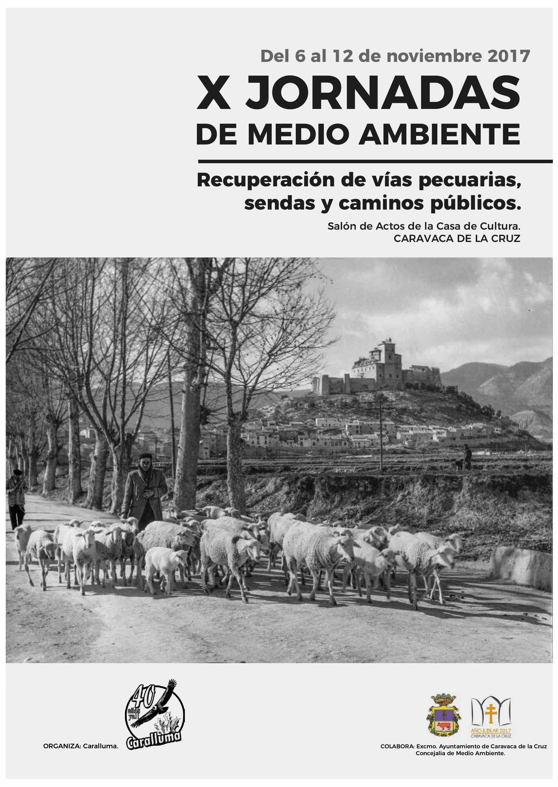 X Jornadas de Medio Ambiente